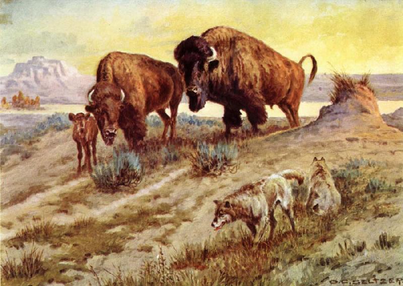 unknow artist Buffalo Family France oil painting art